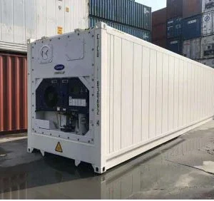 40ft Refrigerated Container (Thermo King Blast Freezer Unit)