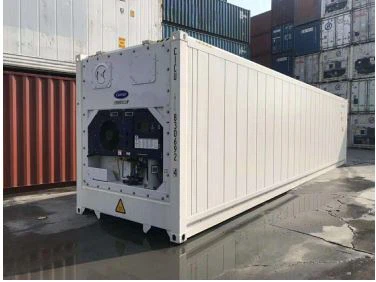 40ft Refrigerated Container (Thermo King Blast Freezer Unit)