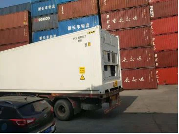 40ft Refrigerated Container (Thermo King Blast Freezer Unit) - Image 3